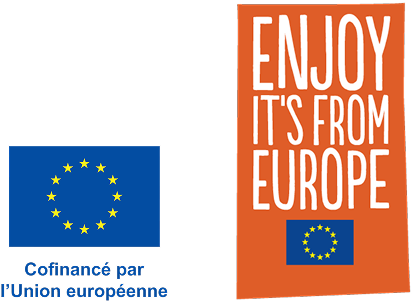 Programme Enjoy, it's from Europe